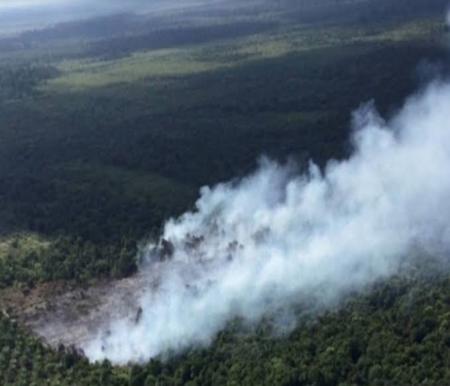 Ilustrasi hotspot di Riau masih minim (foto/int)